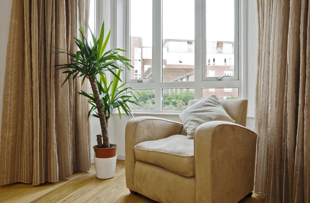 arm chair next to plant in front of window